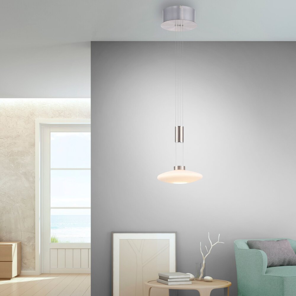 Paul Neuhaus LAUTADA Hanglamp LED Staal geborsteld, 1-licht main product photo