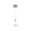 Paul Neuhaus LAUTADA Hanglamp LED Staal geborsteld, 1-licht