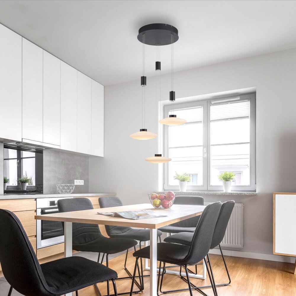 Paul Neuhaus LAUTADA Hanglamp LED Zwart, 3-lichts main product photo