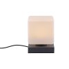 Paul Neuhaus DADOA Tafellamp LED Antraciet, 1-licht