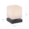 Paul Neuhaus DADOA Tafellamp LED Antraciet, 1-licht