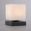 Paul Neuhaus DADOA Tafellamp LED Antraciet, 1-licht