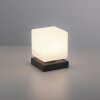 Paul Neuhaus DADOA Tafellamp LED Antraciet, 1-licht