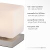 Paul Neuhaus DADOA Tafellamp LED Staal geborsteld, 1-licht
