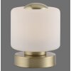 Paul Neuhaus BOTA Tafellamp LED Messing, 1-licht