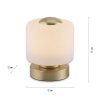 Paul Neuhaus BOTA Tafellamp LED Messing, 1-licht