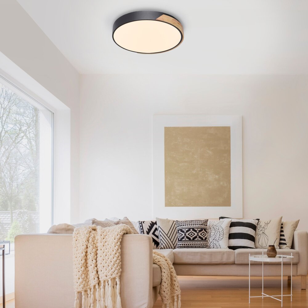 Paul Neuhaus Q-BILA Plafondlamp LED Natuurlijke kleuren, Zwart, 1-licht, Afstandsbediening main product photo