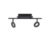 Paul Neuhaus SILEDA Plafondlamp Antraciet, 2-lichts