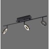 Paul Neuhaus SILEDA Plafondlamp Antraciet, 3-lichts