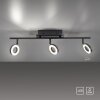 Paul Neuhaus SILEDA Plafondlamp Antraciet, 3-lichts