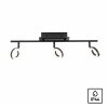 Paul Neuhaus SILEDA Plafondlamp Antraciet, 3-lichts