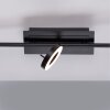 Paul Neuhaus SILEDA Plafondlamp Antraciet, 3-lichts