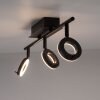 Paul Neuhaus SILEDA Plafondlamp Antraciet, 3-lichts
