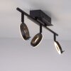 Paul Neuhaus SILEDA Plafondlamp Antraciet, 3-lichts