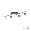 Paul Neuhaus SILEDA Plafondlamp Antraciet, 4-lichts