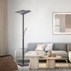 Paul Neuhaus ARTUR Uplighter LED Antraciet, 1-licht
