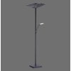 Paul Neuhaus ARTUR Uplighter LED Antraciet, 1-licht