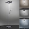 Paul Neuhaus ARTUR Uplighter LED Antraciet, 1-licht