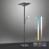 Paul Neuhaus ARTUR Uplighter LED Antraciet, 1-licht