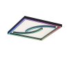 Paul Neuhaus SERPENT Plafondlamp LED Zwart, 1-licht, Afstandsbediening, Kleurwisselaar