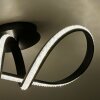 Paul Neuhaus BRILLA Plafondlamp LED Zwart, 1-licht