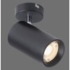 Paul Neuhaus PURE-TECHNIK Plafondlamp LED Zwart, 1-licht