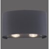 Paul Neuhaus CARLO Muurlamp LED Antraciet, 4-lichts