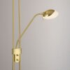 Leuchten-Direkt ZAHARA Uplighter LED Messing, 2-lichts