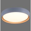 Leuchten-Direkt EMILIA Plafondlamp LED Grijs, Natuurlijke kleuren, 1-licht