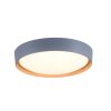 Leuchten-Direkt EMILIA Plafondlamp LED Grijs, Natuurlijke kleuren, 1-licht