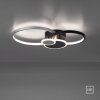 Leuchten-Direkt PAPILON Plafondlamp LED Zwart, 1-licht