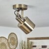 Neves Plafondlamp Messing, 1-licht