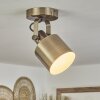 Neves Plafondlamp Messing, 1-licht