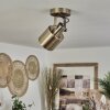 Neves Plafondlamp Messing, 1-licht