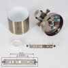 Neves Plafondlamp Messing, 1-licht