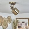 Neves Plafondlamp Messing, 1-licht