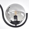 Orieux Plafondlamp Zwart, 5-lichts