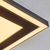 Audrieu Plafondpaneel LED Zwart, 2-lichts