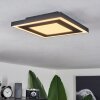 Audrieu Plafondpaneel LED Zwart, 2-lichts