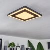 Audrieu Plafondpaneel LED Zwart, 2-lichts