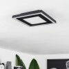 Audrieu Plafondpaneel LED Zwart, 2-lichts