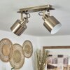 Neves Plafondlamp Messing, 2-lichts