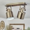 Neves Plafondlamp Messing, 2-lichts