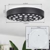 Agodim Plafondlamp LED Zwart, 1-licht