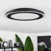 Audrieu Plafondpaneel LED Zwart, 2-lichts