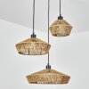 Joinal Hanger Zwart, 3-lichts