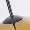Koyoto  Hanger Glas 25 cm Goud, Duidelijk, 3-lichts
