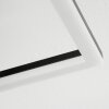 Boim Plafondlamp LED Zwart, 3-lichts