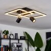 Boim Plafondlamp LED Zwart, 3-lichts