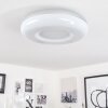 Monfebres Plafondlamp LED Zilver, Wit, 1-licht, Afstandsbediening, Kleurwisselaar
